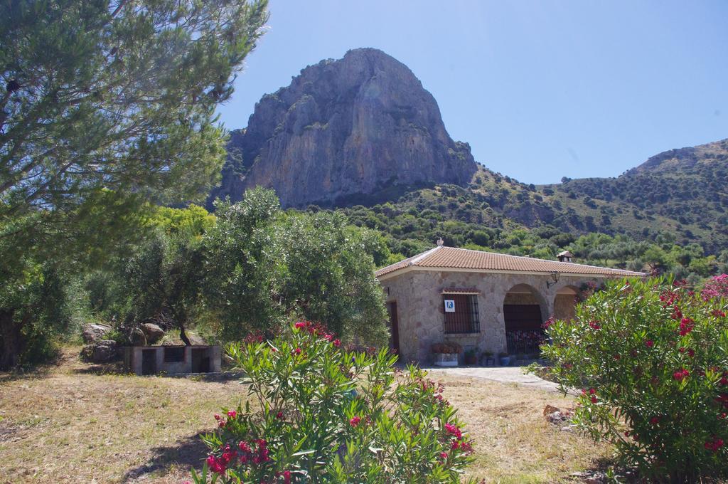 Finca Barreras El Gastor Exterior foto
